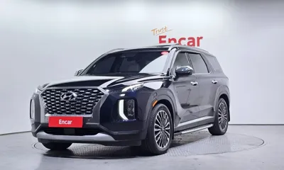 Hyundai Palisade · 2019 год
