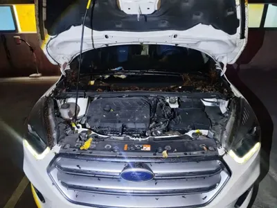 Ford Kuga 2018, 59100 км, за 5826.84 USD - фото 17