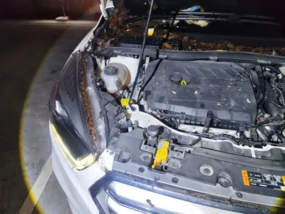Ford Kuga 2018, 59100 км, за 5826.84 USD - фото 23