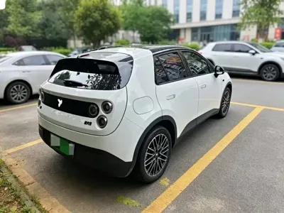 firefly萤火虫 firefly萤火虫 2025, 10000 км, за 10192.03 USD