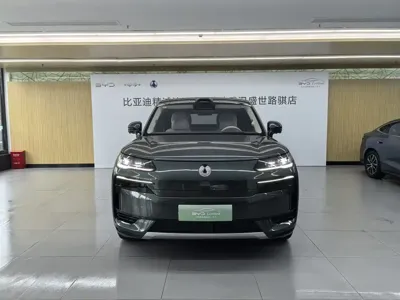 Denza 腾势N9 · 2025 год