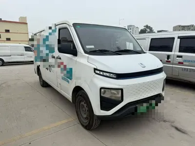 Yuan Cheng Yuan Cheng Xingxiang V 2024, 39800 км, за 5665.48 USD