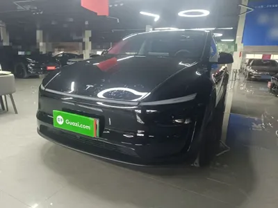 Tesla Model Y · 2025 год