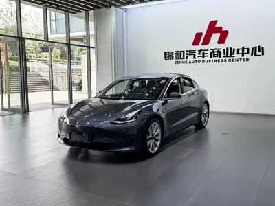 Tesla Model 3 · 2020 год