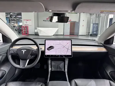 Tesla Model 3 2020, 105000 км, за 14608.35 USD - фото 7