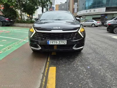 Kia Sportage · 2024 год