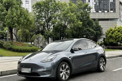 Tesla Model Y · 2021 год
