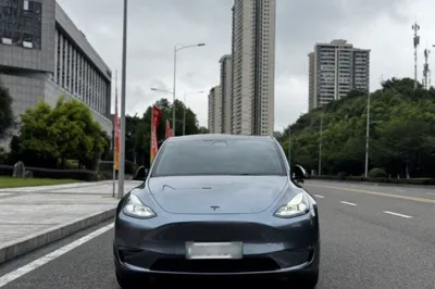 Tesla Model Y 2021, 88200 км, за 24259 USD - фото 18