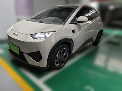 BYD Seagull 2025, 1000 км, за 9549.55 USD