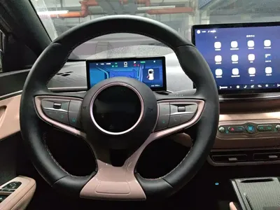 BYD Seagull 2025, 1000 км, за 9549.55 USD