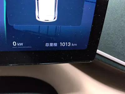 BYD Seagull 2025, 1000 км, за 9549.55 USD
