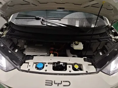 BYD Seagull 2025, 1000 км, за 9549.55 USD - фото 11