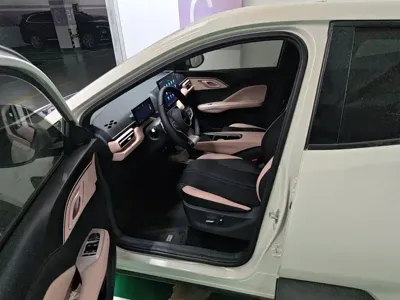 BYD Seagull 2025, 1000 км, за 9549.55 USD - фото 14