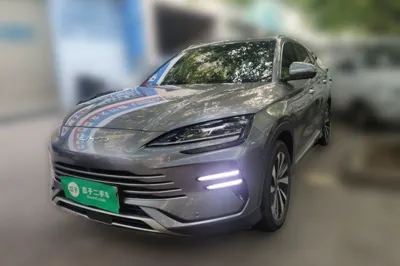 BYD Song PLUS New Energy · 2024 год