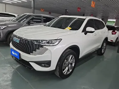 Haval H6 New Energy · 2022 год