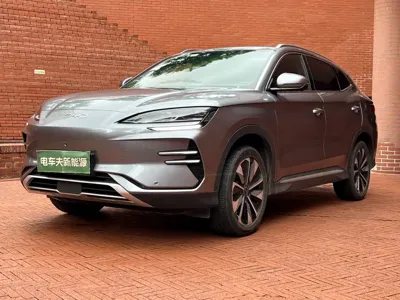 BYD PLUS New Energy · 2024 год