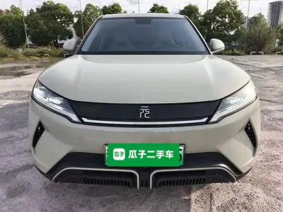 BYD Yuan Up · 2024 год