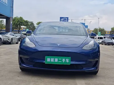 Tesla Model 3 · 2021 год