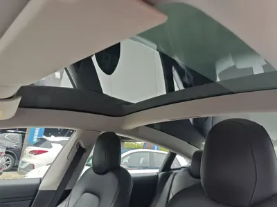 Tesla Model 3 2021, 290000 км, за 13231.36 USD