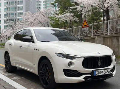 Maserati Levante 2018, 172345 км, за 17516.44 USD - фото 17