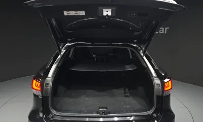 Lexus RX 2020, 131227 км, за 32496.9 USD - фото 20