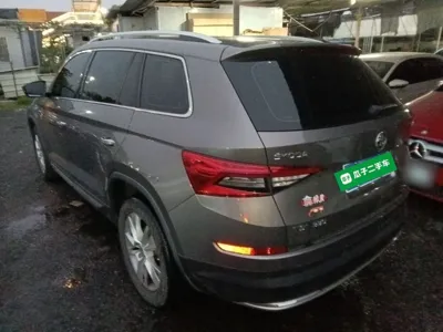 Skoda Kodiaq · 2018 год