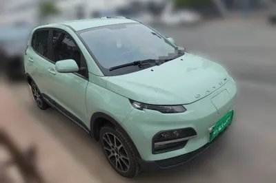 Dayun Yuehu 2022, 22200 км, за 5260 USD