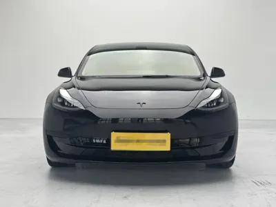 Tesla Model 3 2023, 54800 км, за 20598.49 USD