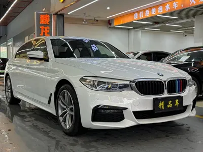 BMW 5 Series · 2019 год