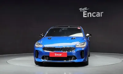 Kia Stinger 2019, 113634 км, за 12091.18 USD