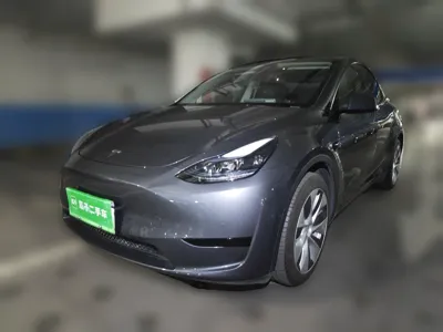 Tesla Model Y · 2022 год