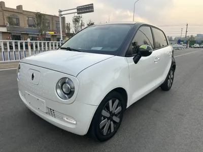 Euler Black Cat · 2020 год