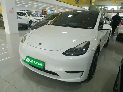 Tesla Model Y · 2023 год