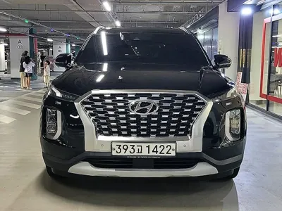 Hyundai Palisade · 2020 год