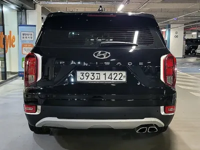 Hyundai Palisade 2020, 31116 км, за 13811.08 USD