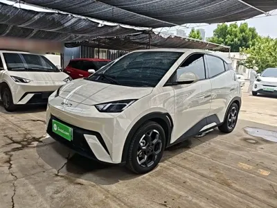 BYD Seagull 2024, 37500 км, за 7529.2 USD