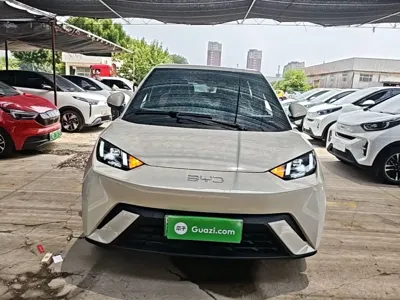 BYD Seagull 2024, 37500 км, за 7529.2 USD