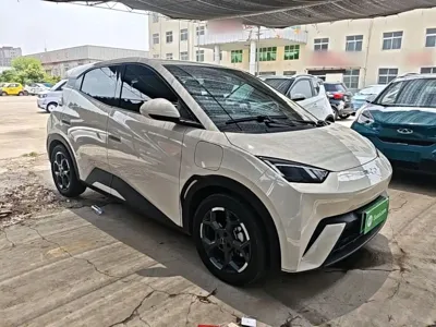 BYD Seagull 2024, 37500 км, за 7529.2 USD