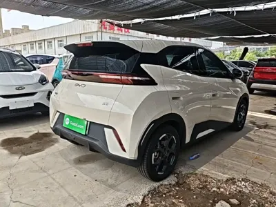BYD Seagull 2024, 37500 км, за 7529.2 USD - фото 7
