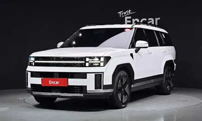 Hyundai Santafe · 2024 год
