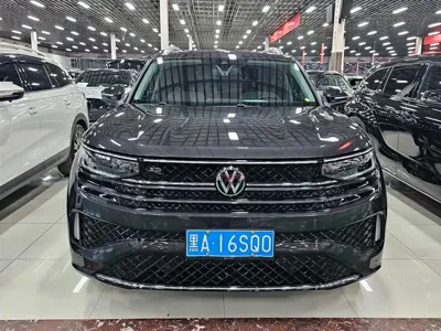 Volkswagen Tavendor · 2024 год