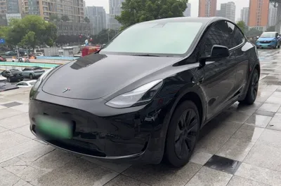 Tesla Model Y · 2023 год