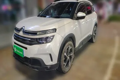 Citroen C5 Aircross · 2019 год