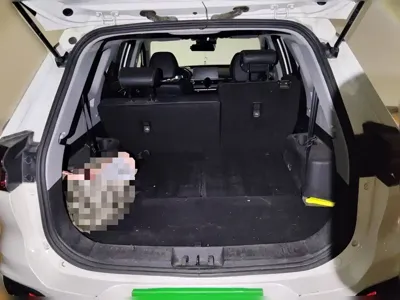 Chery Tiggo 8 2019, 76700 км, за 6459.56 USD - фото 10