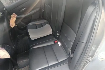 Nissan Sylphy 2020, 94700 км, за 8048 USD - фото 17