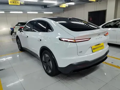 ONVO ONVO L60 2024, 48800 км, за 14699.54 USD