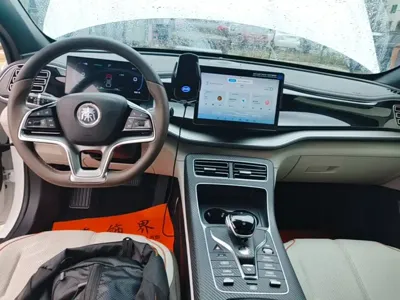 BYD Qin Plus 2024, 99800 км, за 10352.65 USD - фото 10