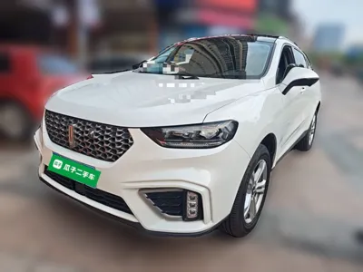 WEY VV5 · 2020 год