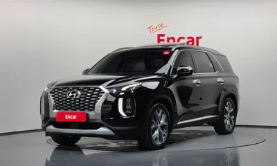 Hyundai Palisade · 2019 год