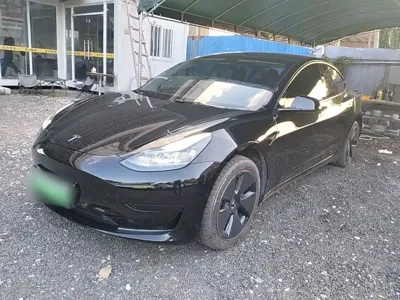 Tesla Model 3 · 2022 год